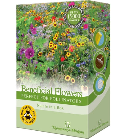 Beneficial Flowers Perfect for Pollinators-Easy Garden Centre
