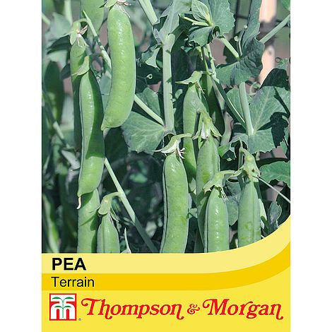 Pea Terrain-Easy Garden Centre