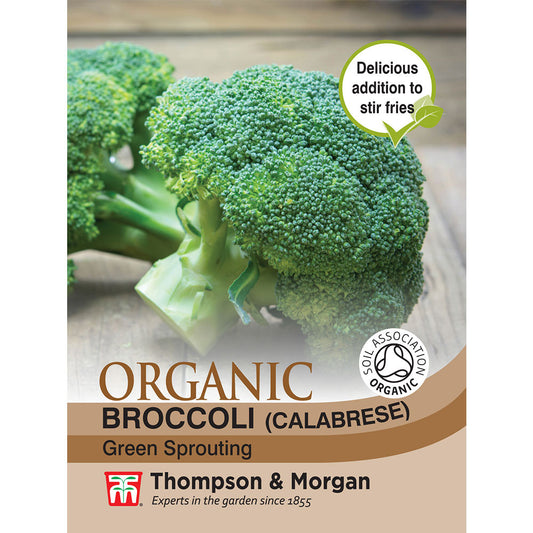 Broccoli Green Sprouting (Organic)-Easy Garden Centre