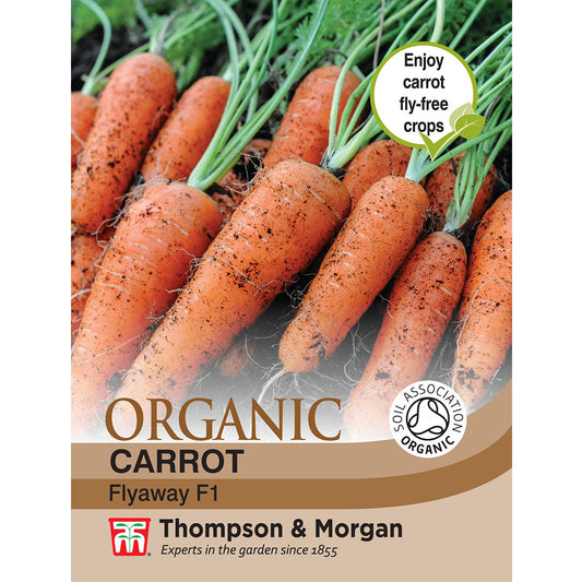 Carrot Nantes 2 (Organic)-Easy Garden Centre