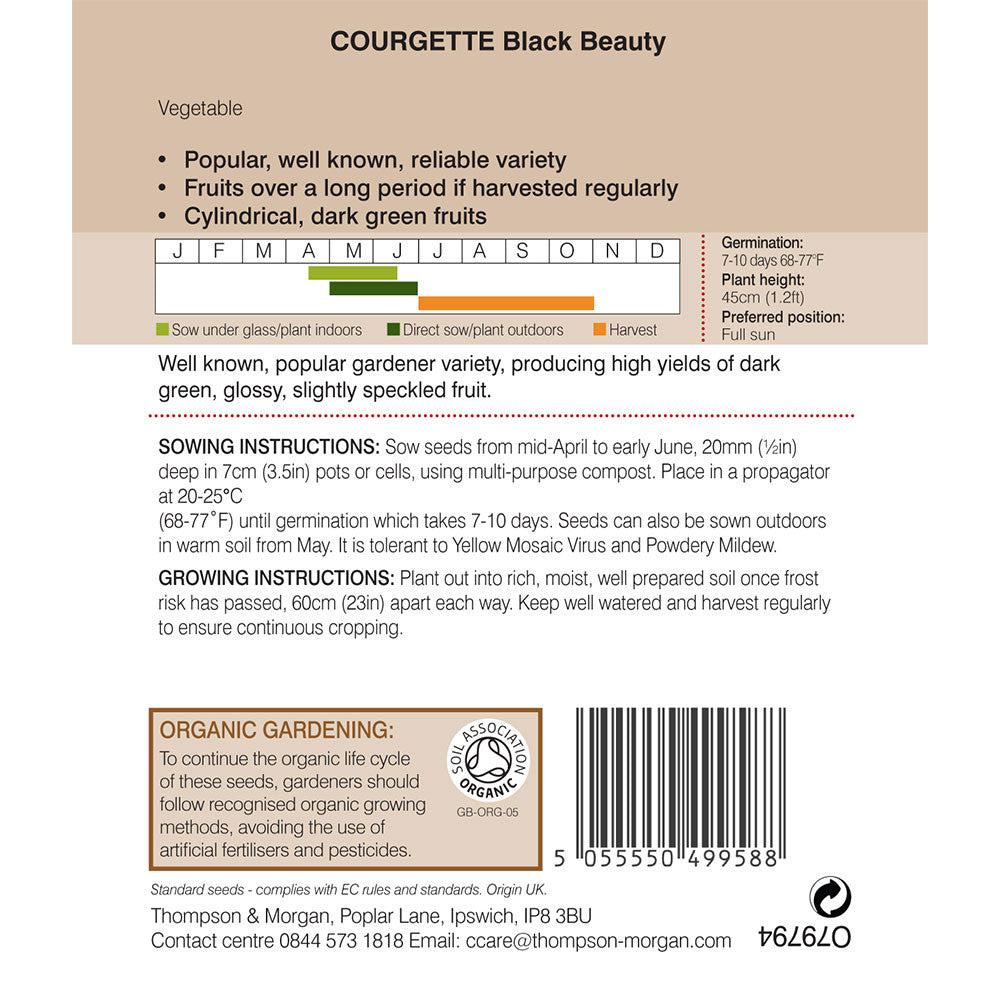 Courgette Black Beauty (Organic)-Easy Garden Centre