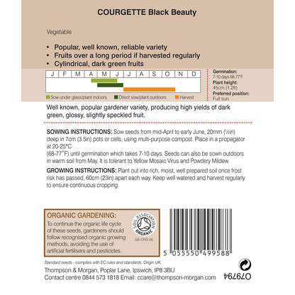 Courgette Black Beauty (Organic)-Easy Garden Centre