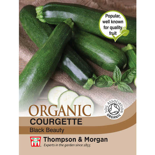Courgette Black Beauty (Organic)-Easy Garden Centre