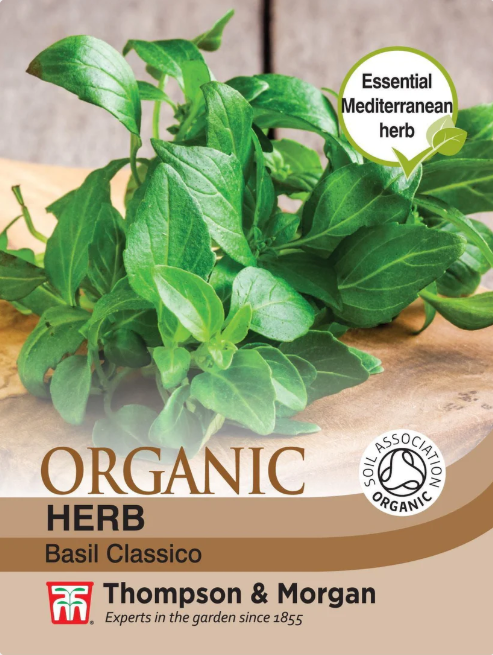 Herb Basil Classico (Organic)-Easy Garden Centre