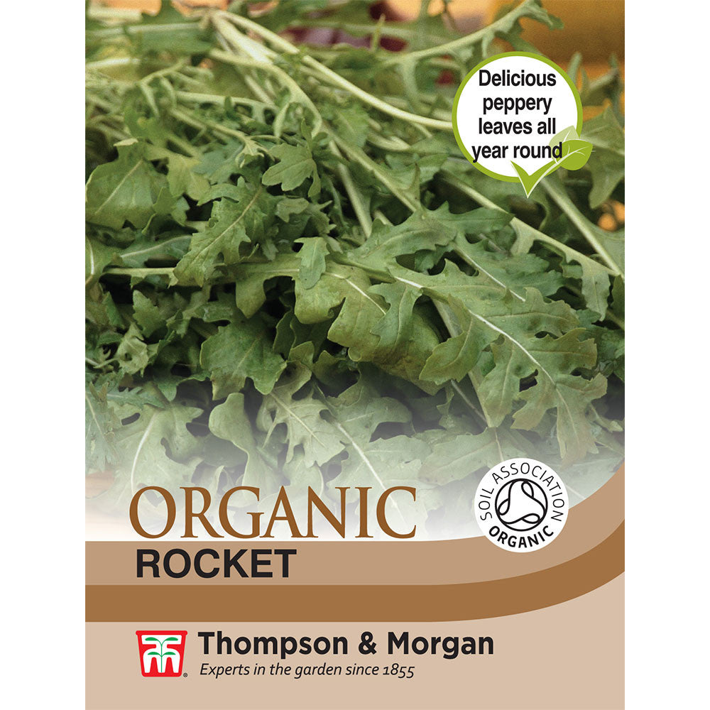 Herb Rocket (Organic)-Easy Garden Centre