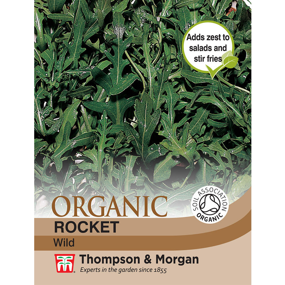 Herb Rocket Wild (Organic)-Easy Garden Centre