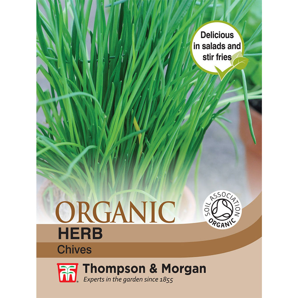 Herb Chives (Organic)-Easy Garden Centre