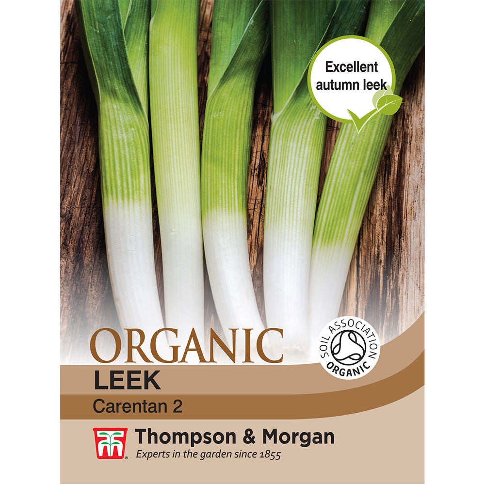Leek Carentan 2 (Organic)-Easy Garden Centre