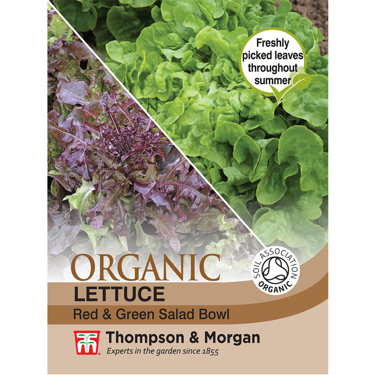 Lettuce Red & Green Salad Bowl (Organic)-Easy Garden Centre