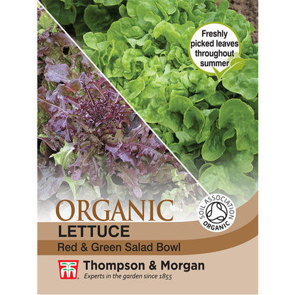 Lettuce Red & Green Salad Bowl (Organic)-Easy Garden Centre