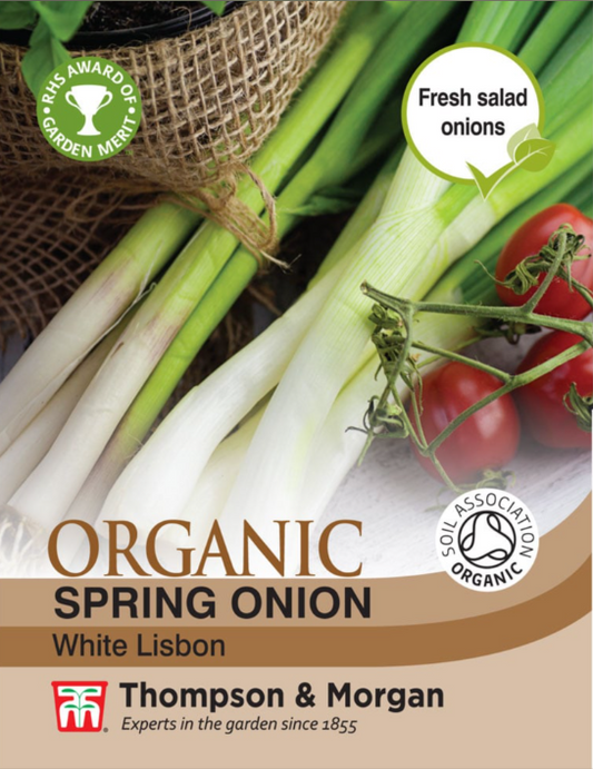 Spring Onion White Lisbon-Easy Garden Centre