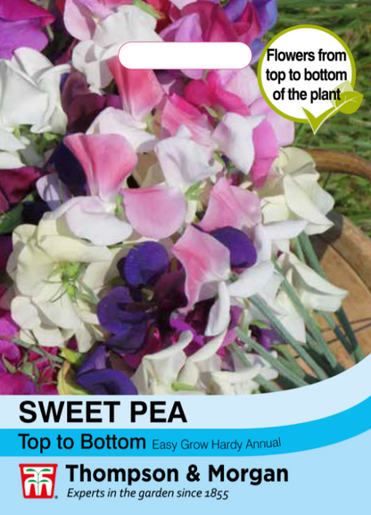 Sweet Pea Top to Bottom-Easy Garden Centre