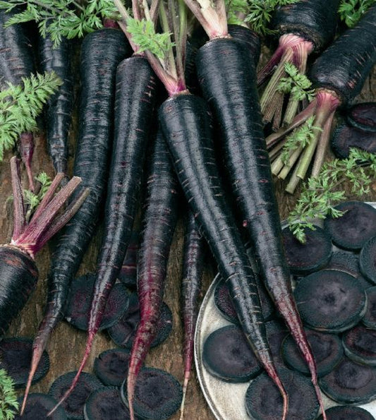 Carrot Black Nebula-Easy Garden Centre