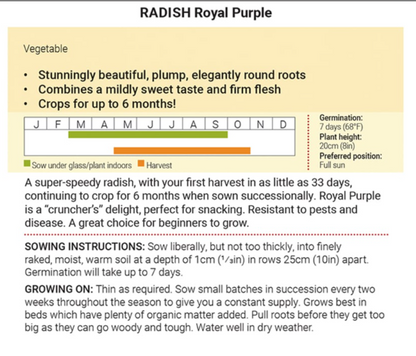 Radish Royal Purple-Easy Garden Centre