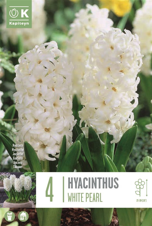 BAG HYA. WHITE PEARL X4 16/17