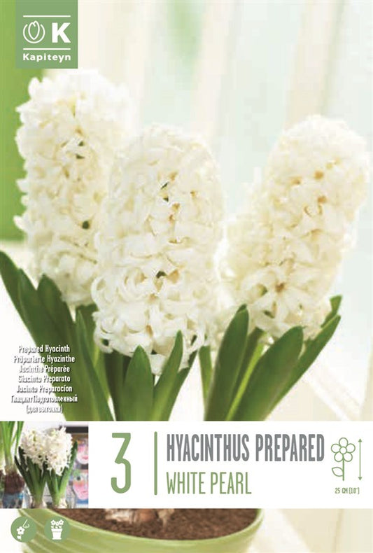 BAG HYA. E.F. WHITE PEARL X3 17/18