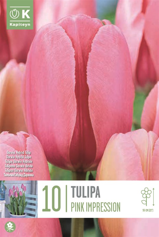 BAG TUL DHT PINK IMPRESSION X10 11/12