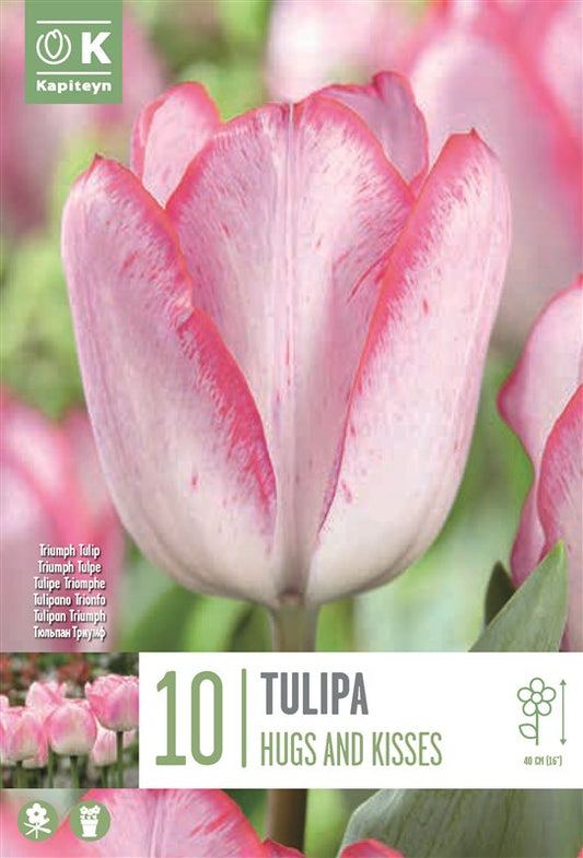 BAG TUL HUGS AND KISSES X 10 11/12