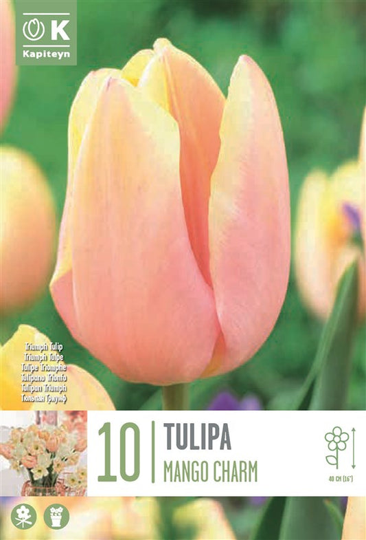 BAG TUL MANGO CHARM X 10 11/12