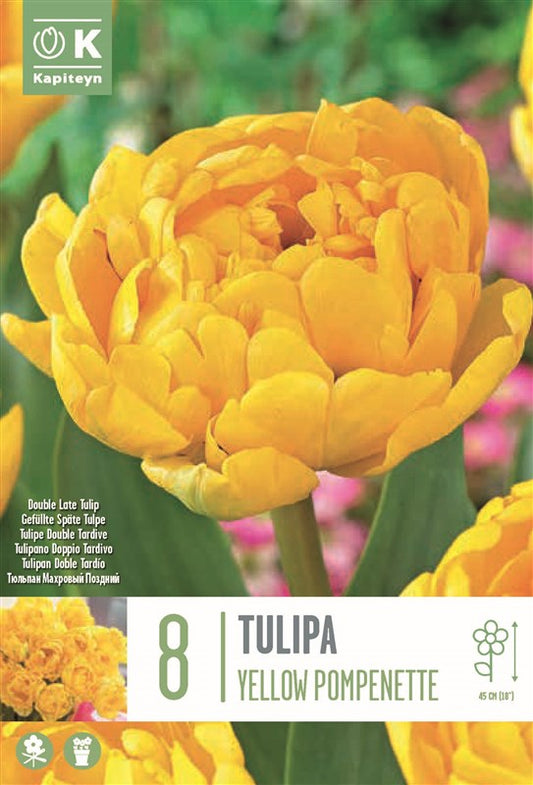 BAG TULIP YELLOW POMPENETTE X8 12/+