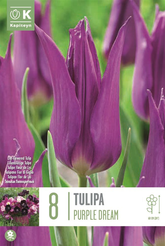 BAG TUL LILY FL. PURPLE DREAM X8 12/+