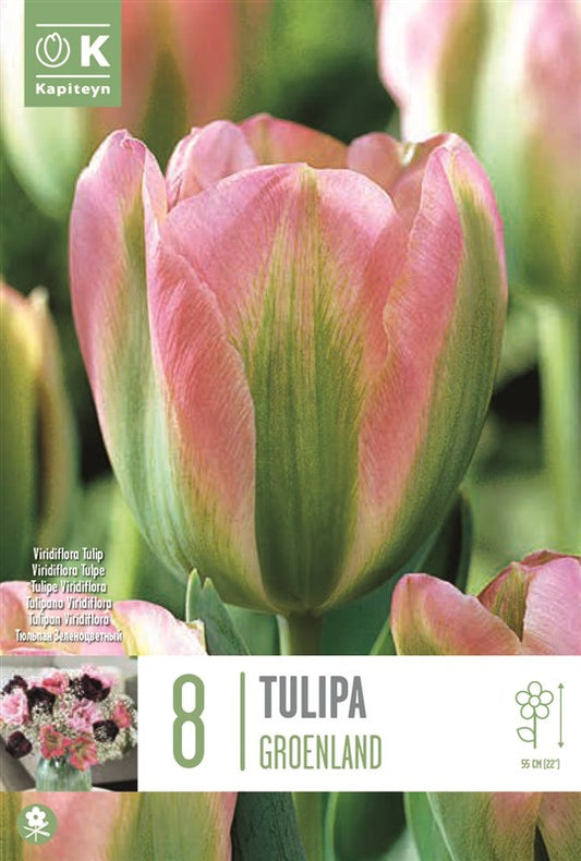 BAG TUL VIRIDIFLORA GROENLAND X8 12/+