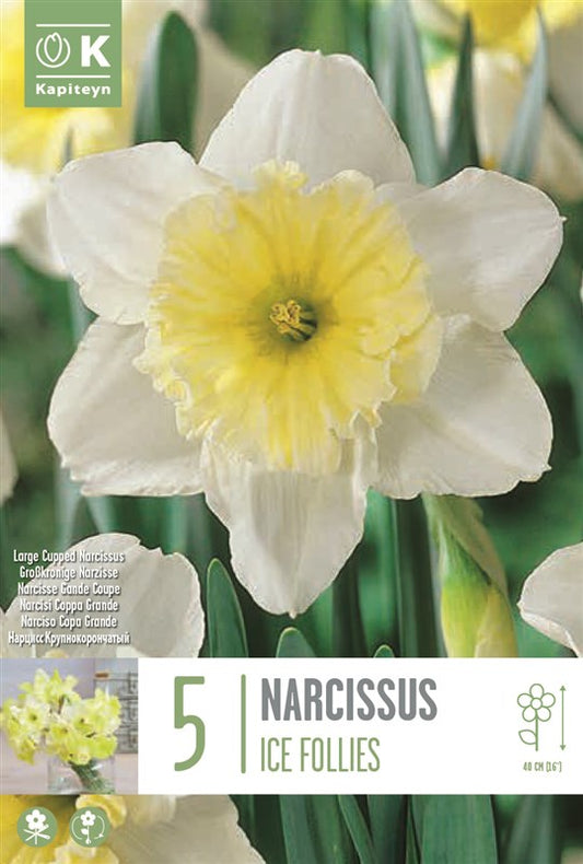 BAG NAR L. CUPPED ICE FOLLIES X5 14/16