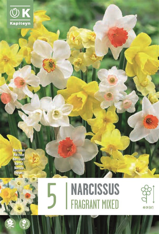 NAR FRAGRANT MIXED