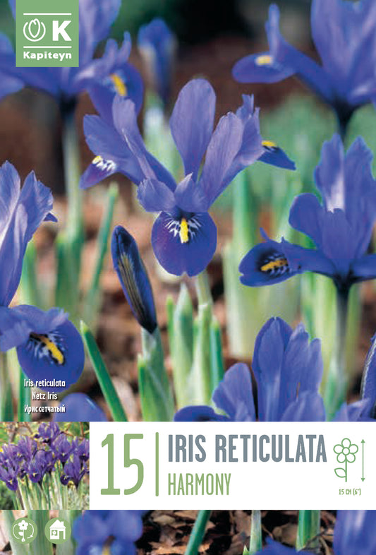 BAG IRIS RET HARMONY X15 6/+