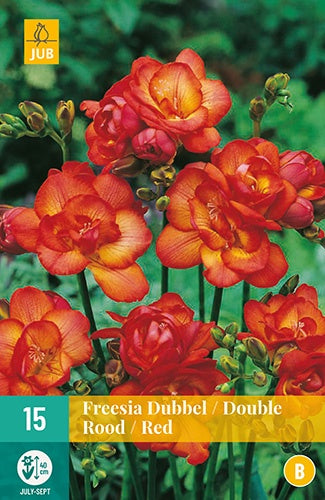 15 Freesia Double Red