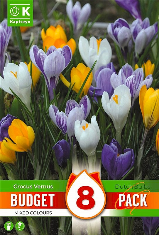 Budget Crocuscus Lf Mixed - Bulb Size 7/8 - X8 Bulbs