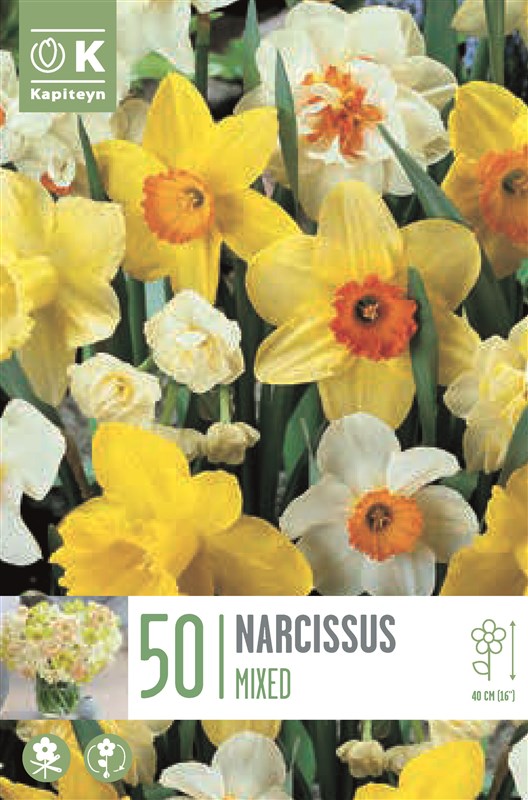 LANDSCAPE BAG NARCISSUS MIXED COLOURS
