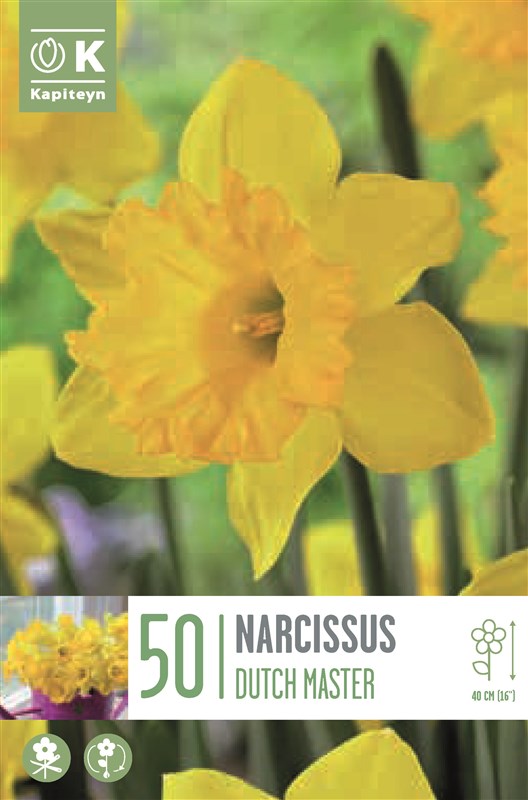 LANDSCAPE BAG NARCISSUS DUTCH MASTER