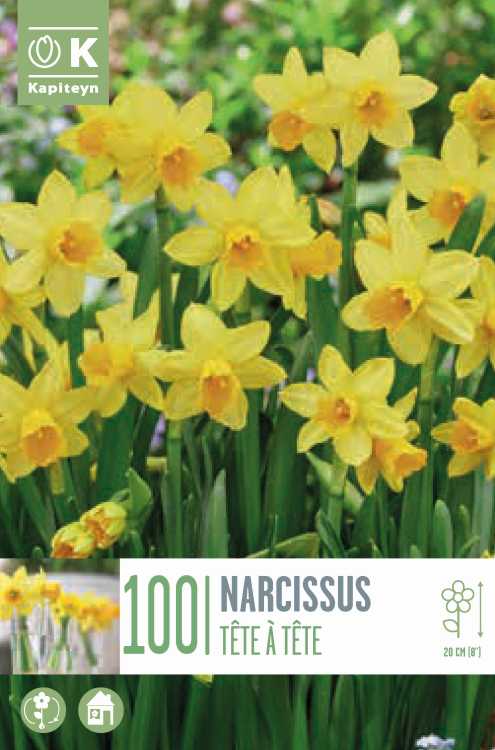LANDSCAPE BAG NARCISSUS TETE A TETE