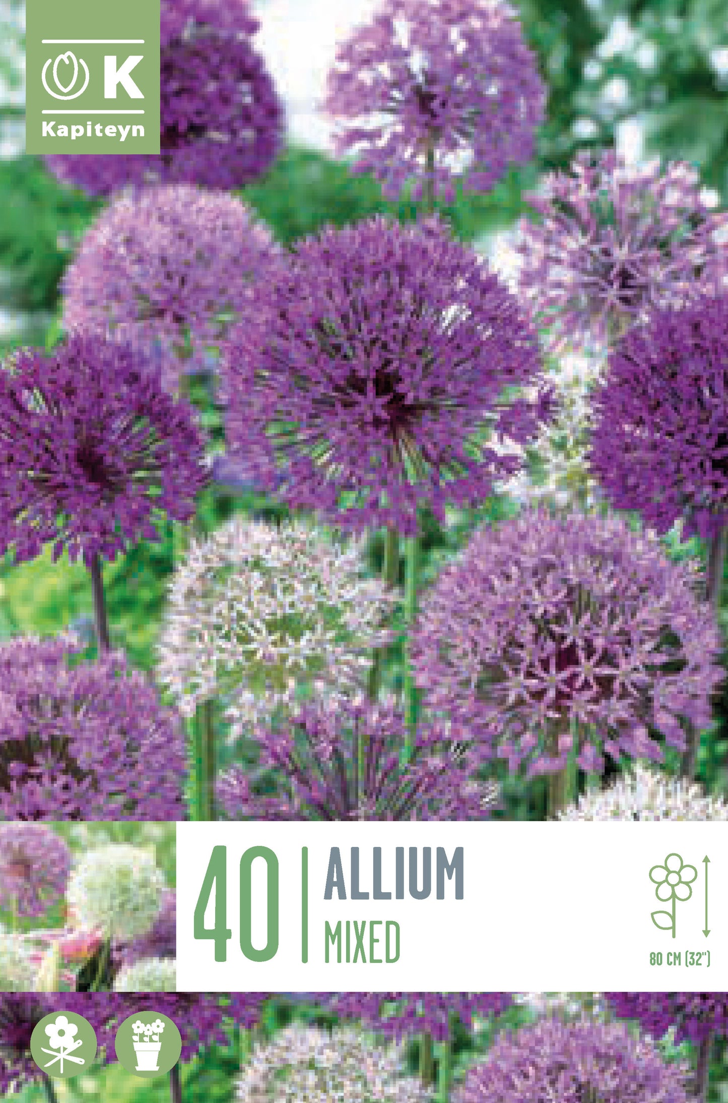 LANDSC BAG ALLIUM LF MIX