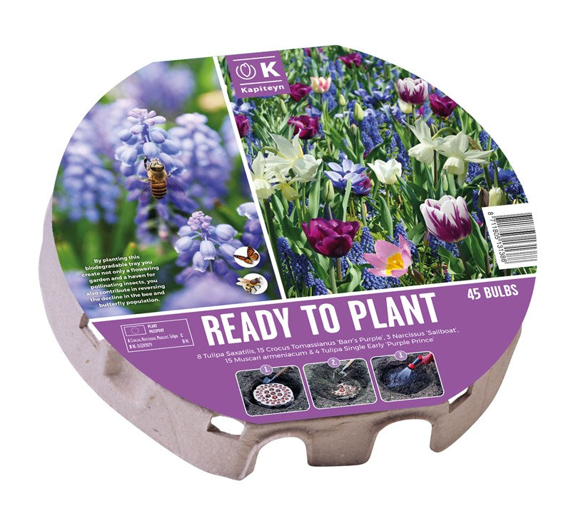 PLANT-O-MAT TRAY XL 38 WILD FLOWERS 2