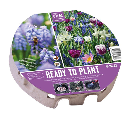 PLANT-O-MAT TRAY XL 38 WILD FLOWERS 2