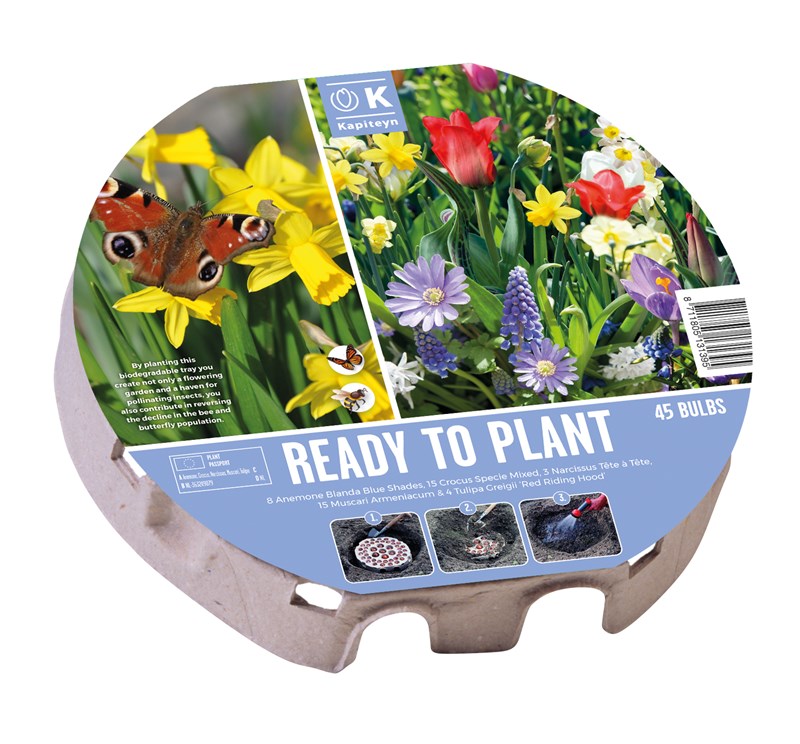 PLANT-O-MAT TRAY XL 38 WILD FLOWERS 1