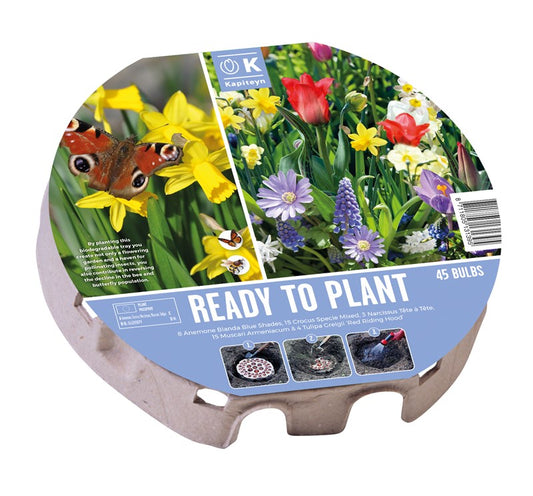 PLANT-O-MAT TRAY XL 38 WILD FLOWERS 1