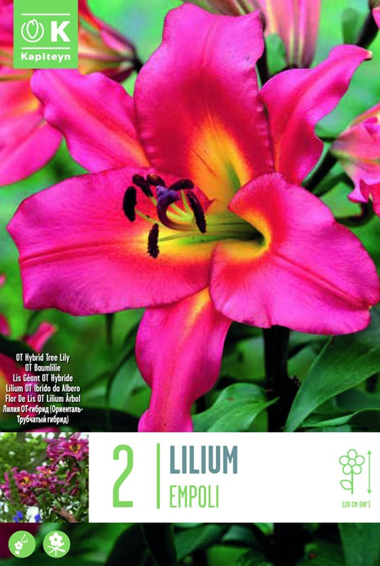 LILIUM EMPOLI X2 16/18