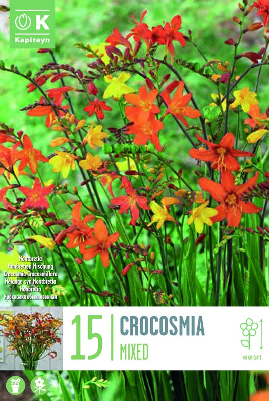 Crocosmia CROCOSMII FLORAMIXED X15 6/+