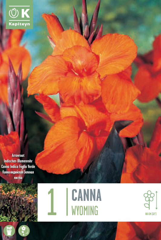 CANNA WYOMING X1 I
