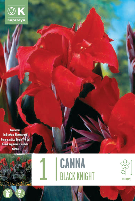CANNA BLACK KNIGHT X1 I