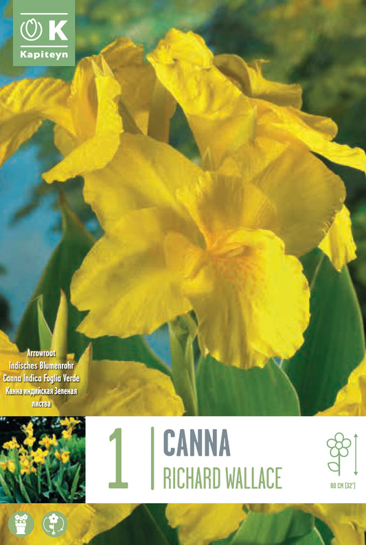 CANNA RICHARD WALLACE X1 I