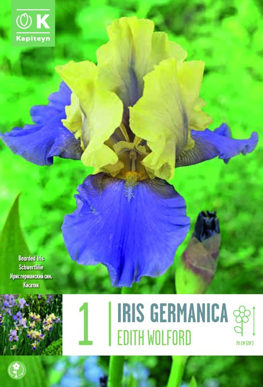IRIS GER. EDITH WOLFORD I X1