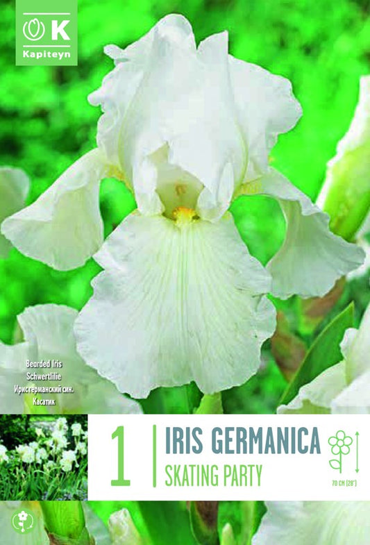 IRIS GER. SKATING PARTY I X1