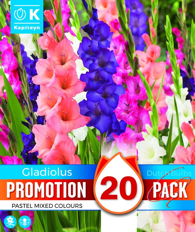 PROMO GLADIOLUS PASTEL MIX X20 12/14-Easy Garden Centre