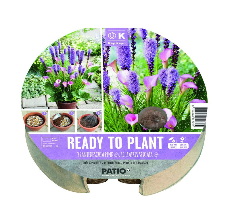 PLANT-O-MAT TRAY CALLA/LIA-Easy Garden Centre