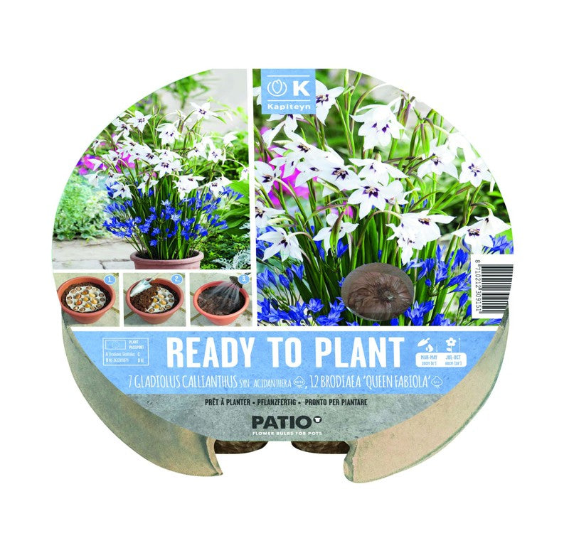 PLANT-O-MAT TRAY ACI/BROD-Easy Garden Centre