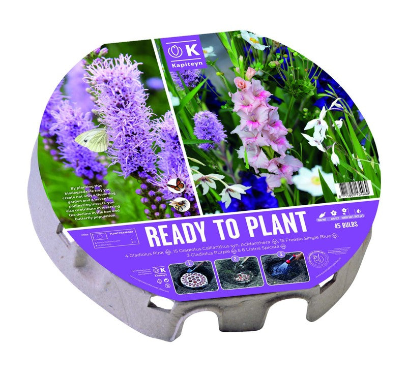 PLANT-O-MAT TRAY XL 38CM BIO DIVERSITY